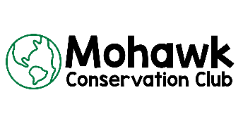 My Website